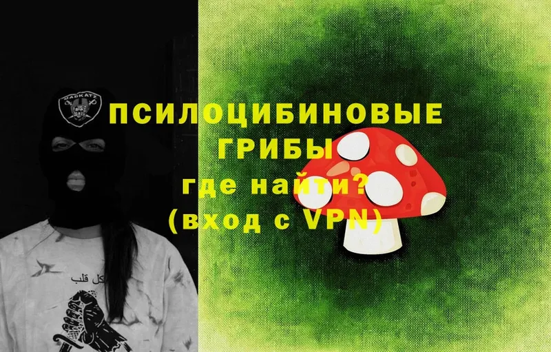 цена   Карталы  Галлюциногенные грибы Cubensis 